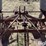 ferguson-do41b-image-9