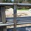 20'-freestanding-livestock-panels-image-20