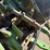 1981-john-deere-4840-image-12