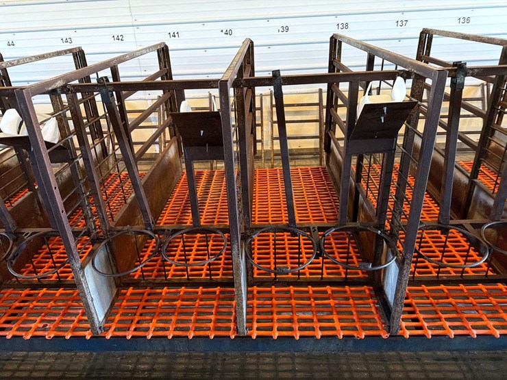 50-metal-calf-crates-image-13
