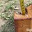 bucket-image-15