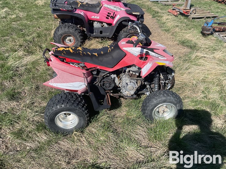2006-arctic-cat-250-image-4