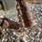#22948-•-tailgate-salt-spreader-image-10