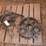 tillage-parts-image-1