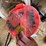 jiffy-auger,-ice-fishing-poles-etc-image-5