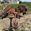 hesston-3981-image-2