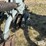 hiniker-6000-image-13