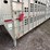 2008-wilson-livestock-trailer-image-23