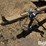 net-1-ton-creep-feeder-image-9