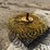new-holland-ht154-image-7