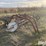 international-16-image-3