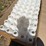 3-quart--50-calf-bottles-image-4