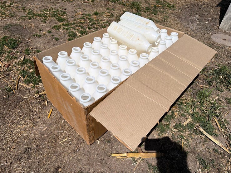 53--3-quart-calf-bottles-image-3