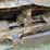 komatsu-d68e-image-9