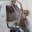 manure-carrier-for-barn-image-6