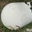 trinity-tank-image-9