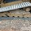 2021-caterpillar-299d3-xe-image-6