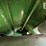 2016-john-deere-s680-image-54