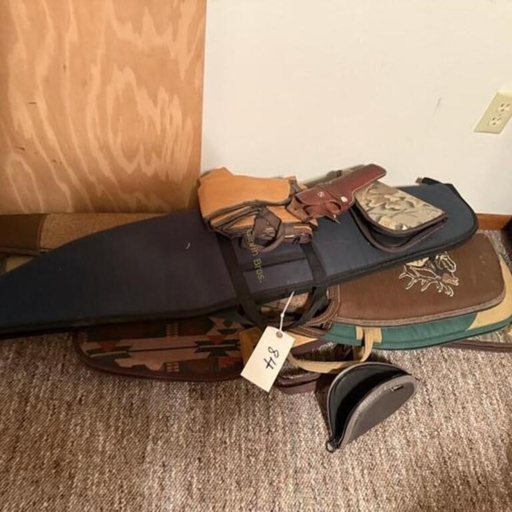 Multiple Soft Gun Cases