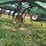 john-deere-980-image-16