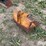 gannon-svo2-7024-bucket-image-5