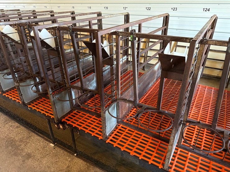 50-metal-calf-crates-image-9