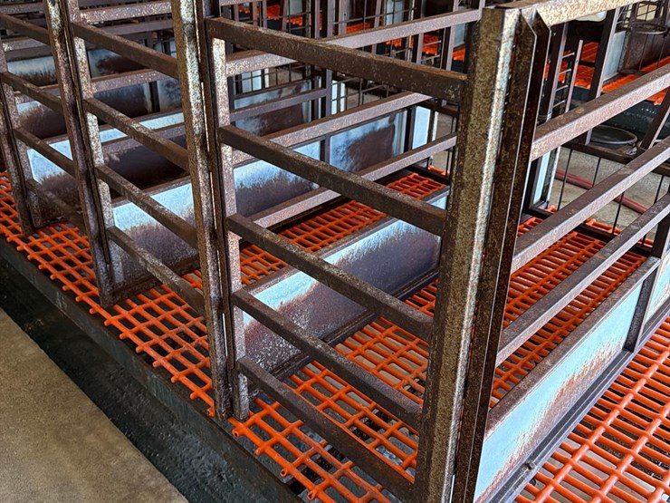 50-metal-calf-crates-image-29