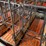 52-metal-calf-crates-image-30