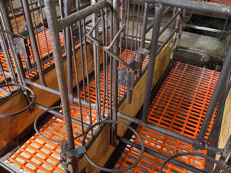 52-metal-calf-crates-image-30