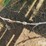 john-deere-1770-image-17