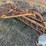 new-holland-56-image-8