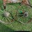 3"-x-26"-steel-wheels-w/-axle-spindles-image-1