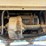 yamaha-2-seater-36v-golf-cart-image-15