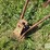 international-330-image-9