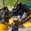 #24312-•-caterpillar-worksite-6x4-image-24