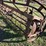 new-idea-4-image-7