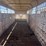 1995-gooseneck-6'8"x24'-livestock-trailer-image-11