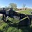 new-holland-2330bf-image-14