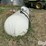 trinity-tank-image-2
