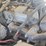 #24312-•-caterpillar-worksite-6x4-image-17