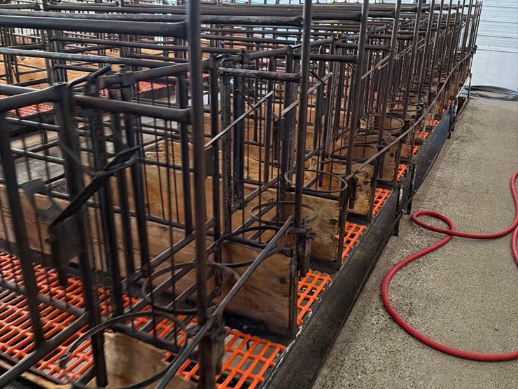 52-metal-calf-crates-image-19