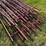5-20ft-continuous-fencing-image-7