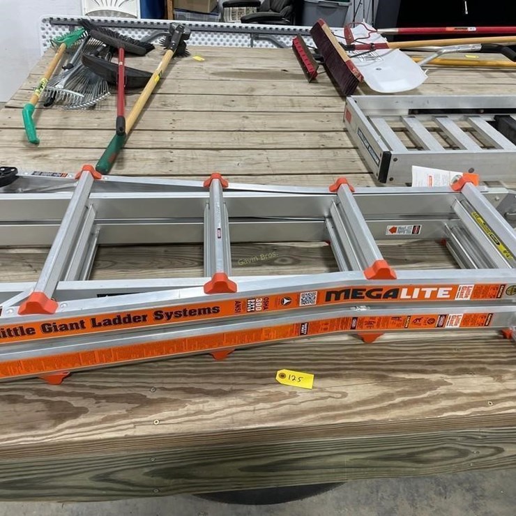 Little Giant Ladder System