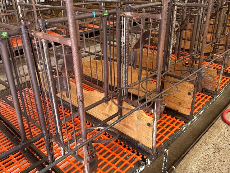 52-metal-calf-crates-image-21