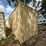 #1202-•-40ft-high-cube-container-image-4