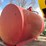 1000-gallon-diesel-fuel-tank-image-3