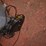 john-deere-1780-image-17