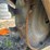 #3900-•-2016-bobcat-ws18-wheel-saw-attachment-image-5