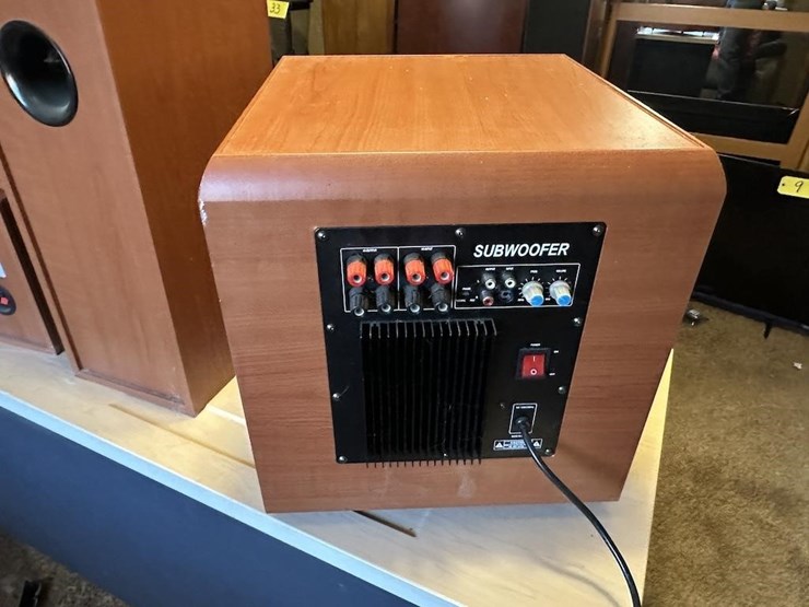 t-rex-sound-system-image-5