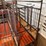 52-metal-calf-crates-image-29